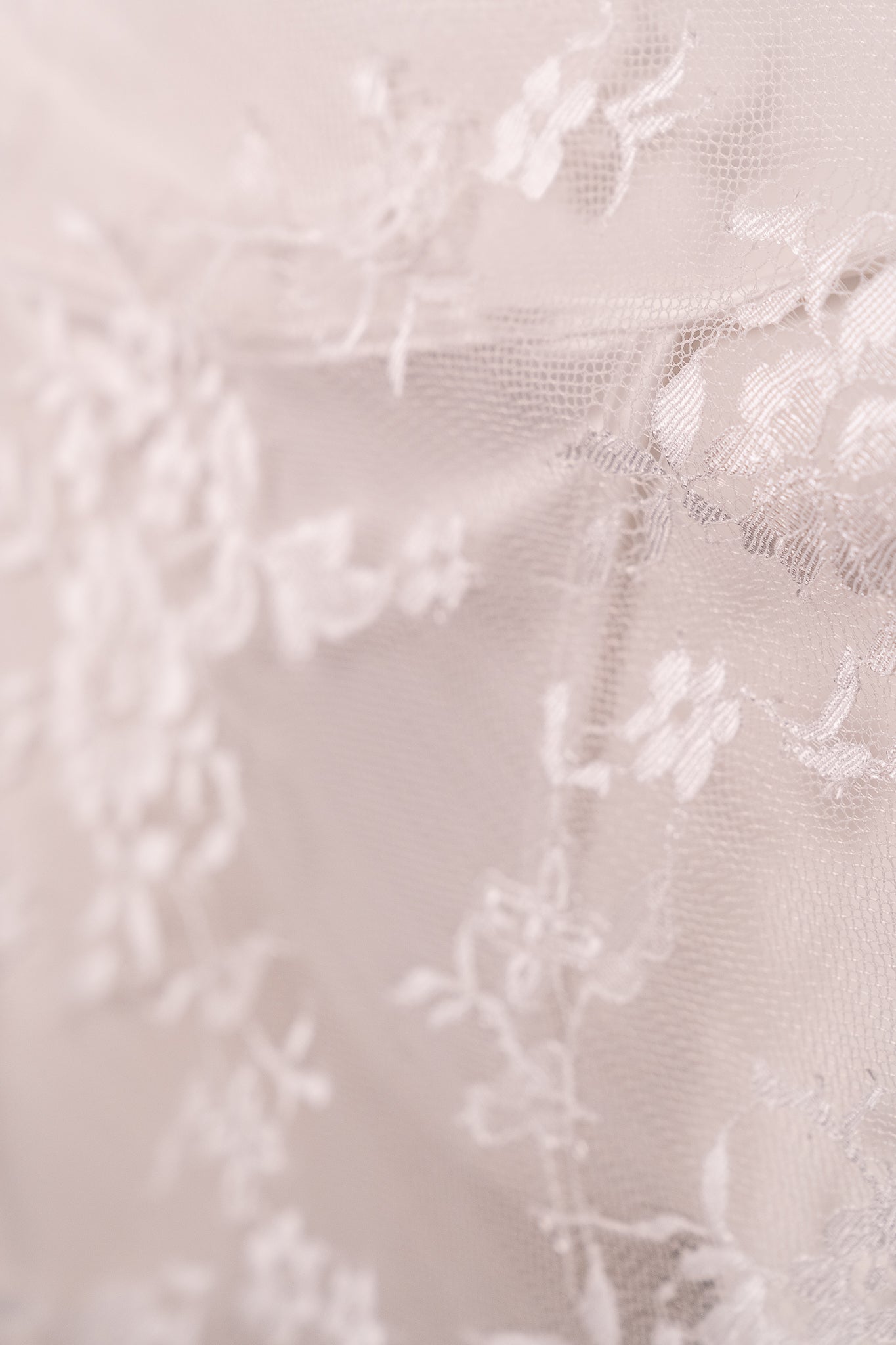 Lace reverie 2365